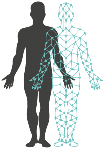 2-pni-cervell-psiconeuroimmunologia-clinica-gessami-serveis